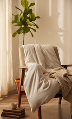 Layaan Homes Beige Collection